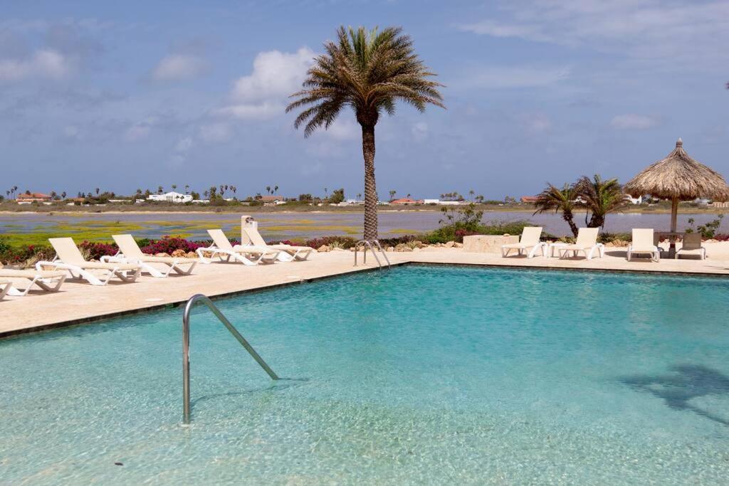 New! Cozy 1 Bedroom Condo- Gold Coast, Noord Aruba Παλμ Μπιτς Εξωτερικό φωτογραφία