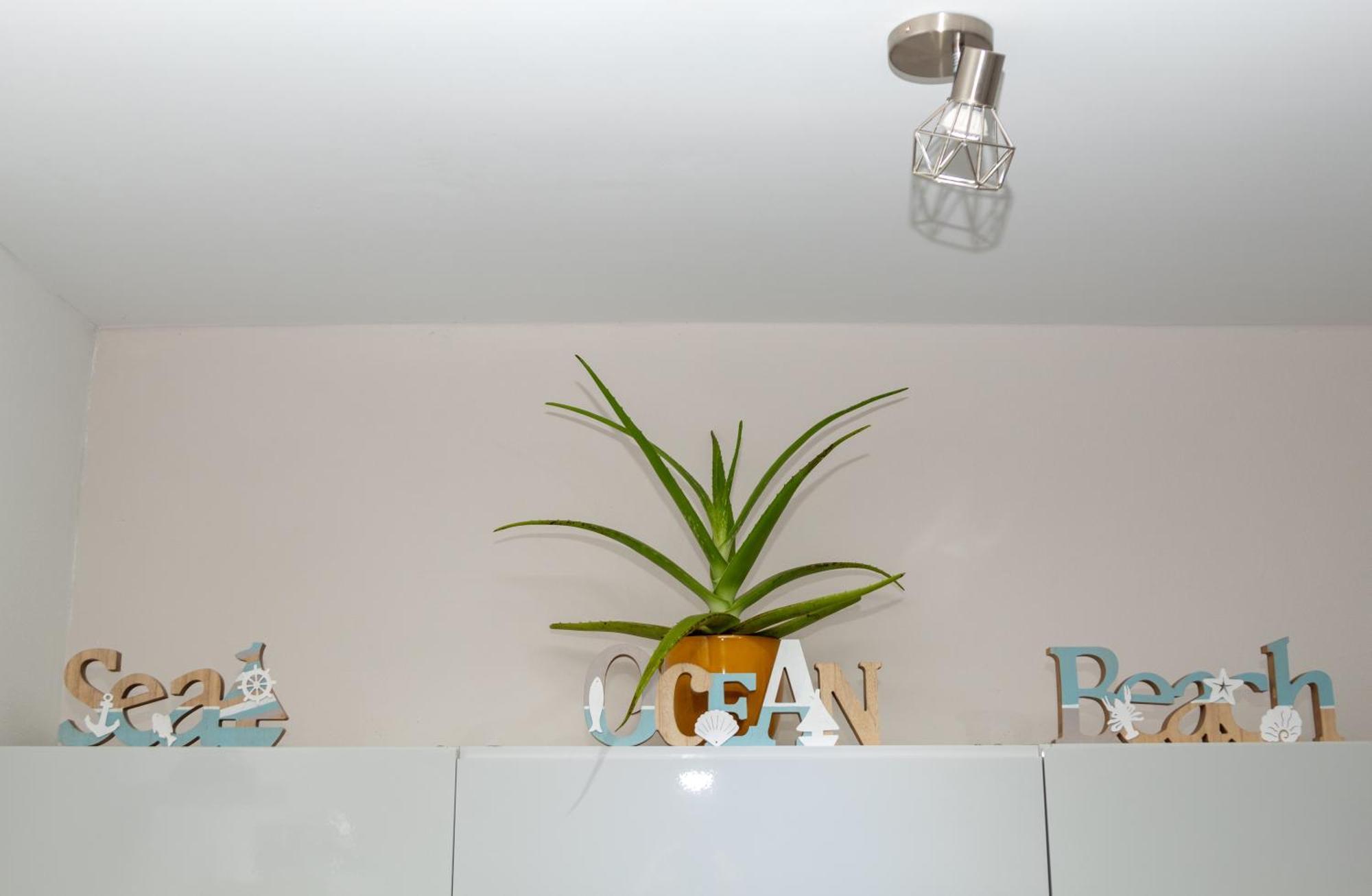 New! Cozy 1 Bedroom Condo- Gold Coast, Noord Aruba Παλμ Μπιτς Εξωτερικό φωτογραφία